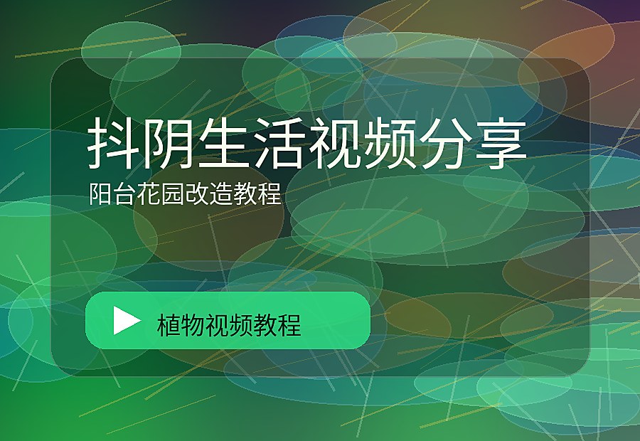 智绘绿影